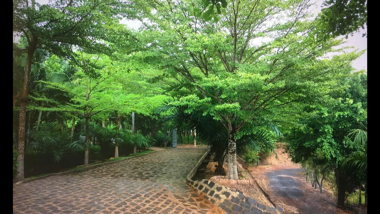 z6513596252206 1c9d04067d16ec3dbead24ac94441fb2